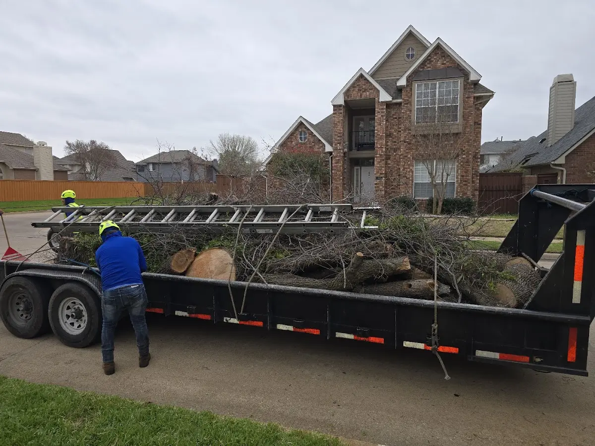 Expert Tree Pest Control with proper safety equipment in Fayette